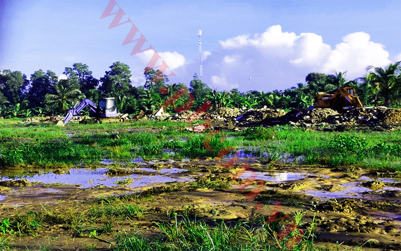 du an ben tre 2